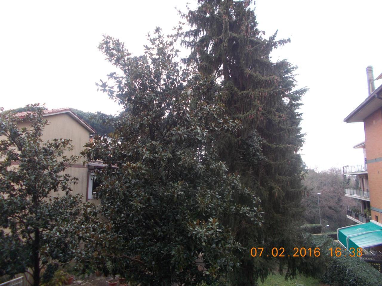 Appartamento I Cedri San Cesareo Bagian luar foto
